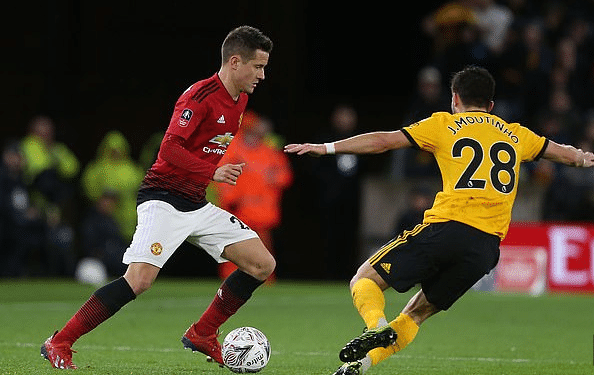 国内的表现 国内的表现